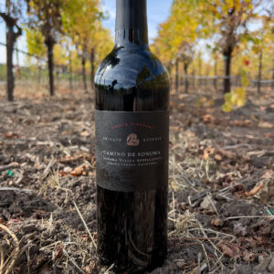 Camino De Sonoma Bottle Shot in Vineyard