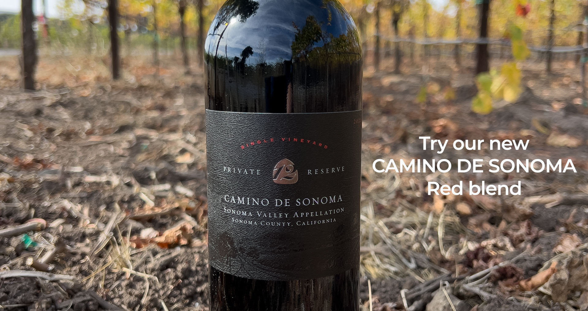 Bottle shot of Camino De Sonoma Red Blend in the vineyard