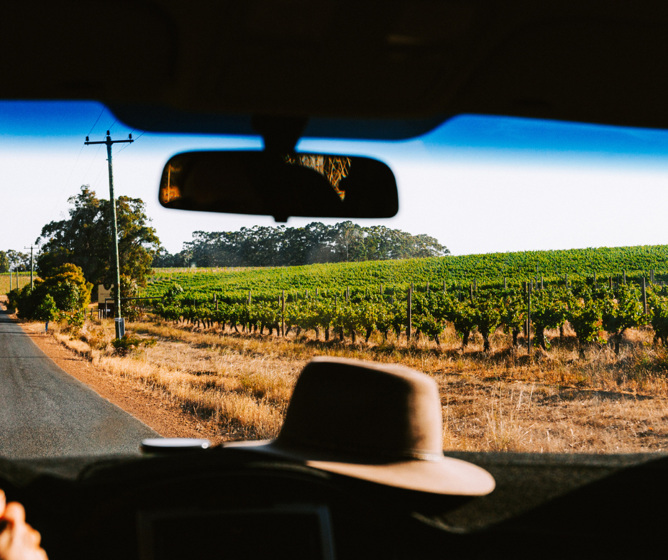 dash of car driving by vineyards